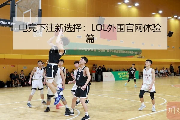 电竞下注新选择：LOL外围官网体验篇